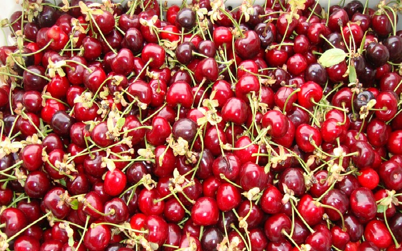 Cherries 2 Skourtopoulos Bros