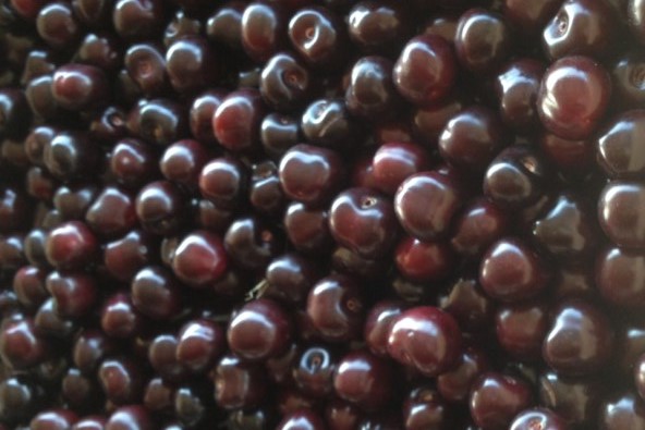 Cherries Tragana Industria Κερασια Skourtopoulos bros