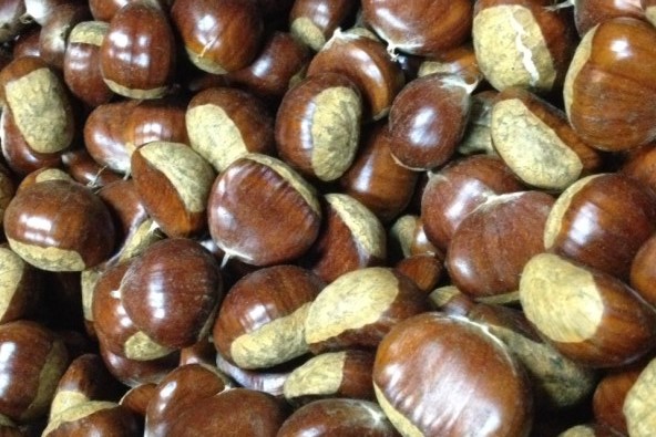 Greek Chestnuts Maronia Extra Lux Skourtopoulos bros