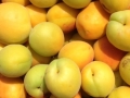 Apricots Albicocche Grecia Industria bebeko Skourtopoulos bros βερικοκα