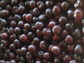 Cherries Tragana Industria Κερασια Skourtopoulos bros