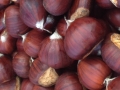 Greek Chestnuts Castagne Grecia Καστανα Βολιώτικα Skourtopoulos bros