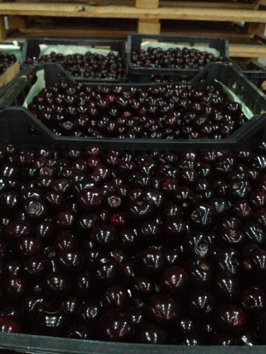 Cherries TRAGANA GREEK - Skourtopoulos Bros