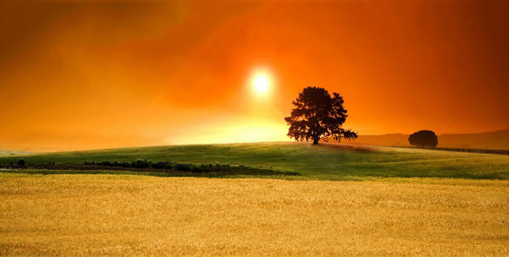 background.jpg