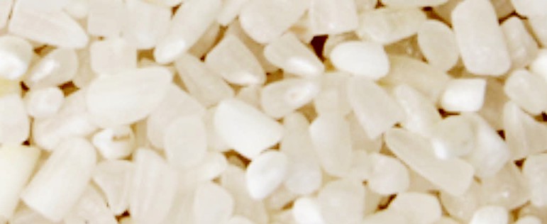 Broken Rice Skourtopoulos bros