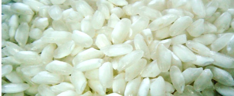 Carolina medium grain rice Skourtopoulos Bros